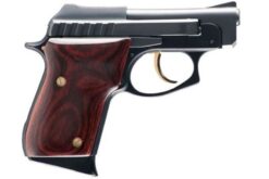 Taurus PT-22 22LR Rimfire Pistol with Rosewood Grips and Gold Accents (Cosmetic Blemishes)